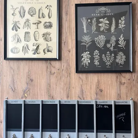 Apartman Royal Home, Hypercentre Avec Vue Cathedrale *